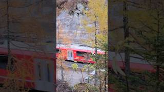 Il trenino rosso del Bernina in autunno [upl. by Anair]