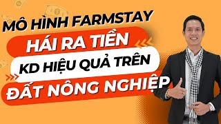 Mô hình Farmstay hái ra tiền Cách kinh doanh hiệu quả trên đất nông nghiệp  Hiệp Bất Động Sản [upl. by Anirazc]