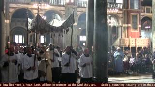 Blessed Sacrament Procession Westminster Cathedral 2014 A Day With Mary [upl. by Ioved]