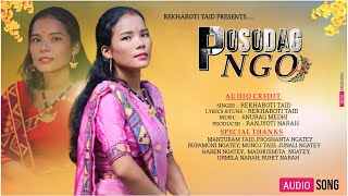 POSODAG NGO  Official  New Mising Song  by Rekhaboti Taid [upl. by Warring366]