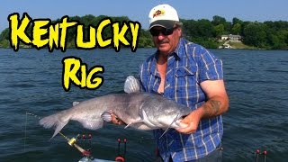 Catching Catfish using a Kentucky Rig [upl. by Ietta]