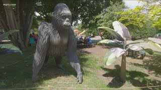 Most Buffalo Zoomagination Tour at the Buffalo Zoo [upl. by Ichabod17]