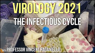 Virology Lectures 2021 2  The Infectious Cycle [upl. by Chara]