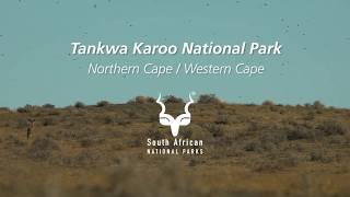 Tankwa Karoo National Park one of South Africas most underrated destinations [upl. by Averil806]