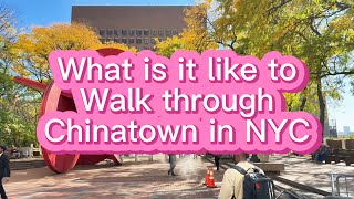 What is it like to Walk Through Chinatown in NYC [upl. by Ahmed]