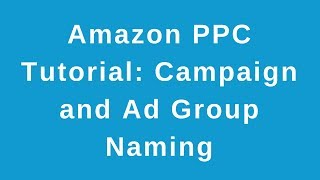 Amazon PPC Tutorial Campaign and Ad Group Naming [upl. by Grogan]