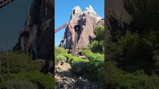 Dropping Out of the Mountain  Expedition Everest at Disneys Animal Kingdom [upl. by Warp]