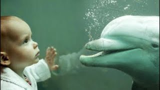 The Secrets Of Dolphin Assisted Birth [upl. by Anahgem]