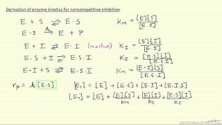 Derivation of Enzyme Kinetics for Noncompetitive Inhibition [upl. by Redla]