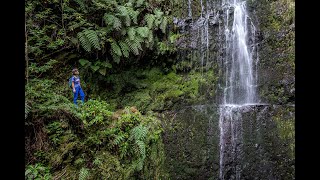 Hiking on the Island of Madeira Portugal IV 4K [upl. by Jaenicke]