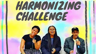 SOUTH AFRICAN YOUTUBER SINGER  HARMONIZING CHALLENGE [upl. by Annahsohs]