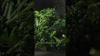 HOW TO STIR FRY BROCCOLI  A quick sear and steam all in one pan to make like in the kitchen easier [upl. by Rhodie]