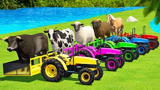 HORSES vs BULLS vs COWS vs SHEEPS vs RAMS BATTLE WITH UNIVERSAL COLORED TRACTORS  FS22 [upl. by Dnivra]