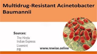 Multidrug  Resistant Acinetobacter Baumannii [upl. by Alathia]