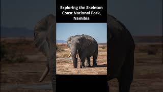 The Skeleton Coast National Park Namibia’s Enigmatic Wilderness [upl. by Blaire29]