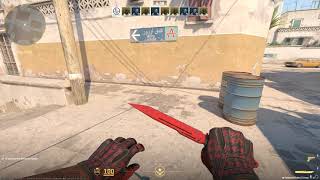 Counter strike 2  Paracord Knife Crimson Web Inspect and Animation [upl. by Kin]