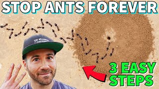 Make Your Yard ANT FREE FOREVER In 3 Easy Steps [upl. by Ealasaid]