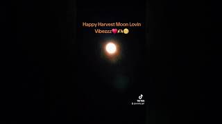 Happy Full Harvest Moon😍💕 inspiration fullmoon goodvibes october2024 harvestmoon lovesong [upl. by Berard]