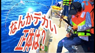 沖縄海遊び手ぶらで２時間ファミリー体験フィッシング 子供から大人まで大喜び Okinawa fishing boat Shimakoko [upl. by Broddie]