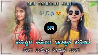 hokkira hoga innyaka soga kannada JANAPADA dj remix new dj edm trending instagram janapada [upl. by Werdnael786]