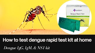 Dengue Rapid Test Results Live  How to test dengue rapid test ki at home Dengue IgG IgM amp NS1 kit [upl. by Iliam]