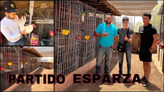 ESTÁS SON LAS INSTALACIONES DE GALLOS ESPARZANINGÚN AVE FUE MALTRATADA DURANTE ESTE VIDEO [upl. by Nnaihs971]