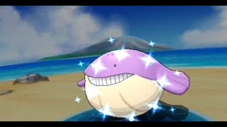 ORAS Shiny Wailmer  Chain fishing [upl. by Edan]