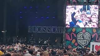 Blossoms Theres a Reason Why at Tramlines Sheffield [upl. by Llener212]