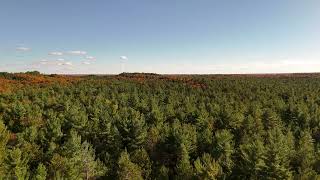 Wasaga Provincial Park Loop Oct 24 2024 [upl. by Arela594]