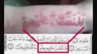 Miracle Verses of Quran on a Russian Babyflv [upl. by Aikar]