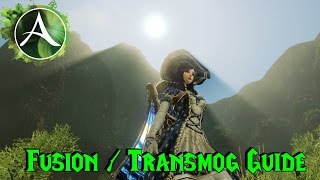 ArcheAge  Fusion  Transmog Guide [upl. by Atinev]