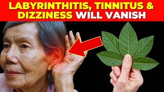 Plant 1 that Vanishes Labyrinthitis Tinnitus and Dizziness Instantly How to use it [upl. by Trebla]