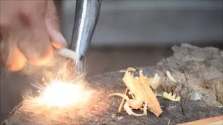 Firesteel and Texas fatwood  lighter knot  flint and steel fire using a feather stick [upl. by Perri697]