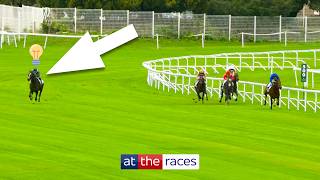 The most GENIUS moments from jockeys in horse racing 🤯 [upl. by Emmey]