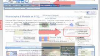 Introduction to the RGD Phenotypes and Models Portal [upl. by Jess931]