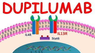 Dupixent Dupilumab injection for Eczema  Everything You should Know [upl. by Alenson]