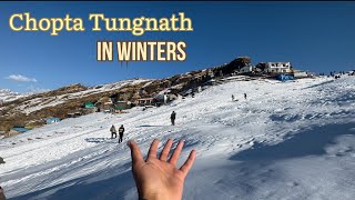 Winter trek Chopta Tungnath in Uttarakhand  Latest vlog 2023 Snowfall [upl. by Maryann]