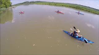 Kayaking with a Drone at Waysons Corner [upl. by Aserej]