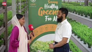 Exploring Sustainable Agriculture at Uns Vertical Farms UAE [upl. by Kemp]