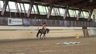 Galop 4 Varier lamplitude au trot [upl. by Marpet]