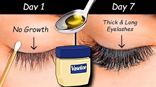 Use Vaseline to Grow Long eyelashes amp Thick eyebrows from First WEEK  Thick Eyelash Growth Serum [upl. by Boyce373]