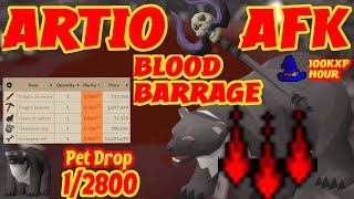 OSRS  Artio Guide  AFK Blood Barrage  Magic  Wilderness Boss [upl. by Ocker]