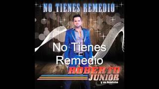 No tienes remedio ROBERTO JUNIOR Y SU BANDEÑO 2014 [upl. by Hendren334]