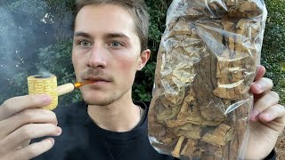 Smoking Nicotiana Rustica for the First Time Strongest Tobacco in the World [upl. by Anorahs717]