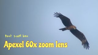 apexel 60x zoom lens with photos and videos samples [upl. by Ahsanat655]