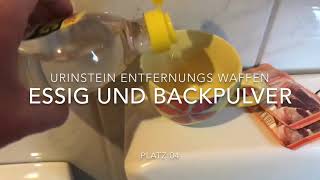 Urinstein entfernen Top 10 Urinstein Entfernungs Ranking die Besten Waffen gegen Ablagerungen [upl. by Eillor]