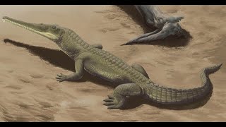 Phytosaurs Crocodile Cousins [upl. by Cyma]