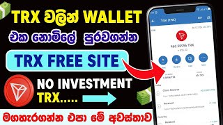 How to earn free trx  E money sinhala  free tron coin sinhala  free tron  Succeed Pathway [upl. by Ymiaj]