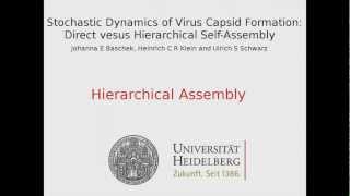 Stochastic Dynamics of Virus Capsid Formation Hierarchical SelfAssembly [upl. by Alemrac813]