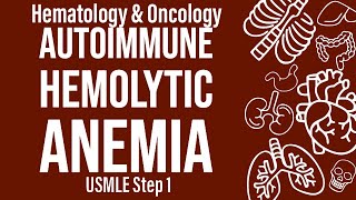 Autoimmune Hemolytic Anemia HemeOnc  USMLE Step 1 [upl. by Nore]